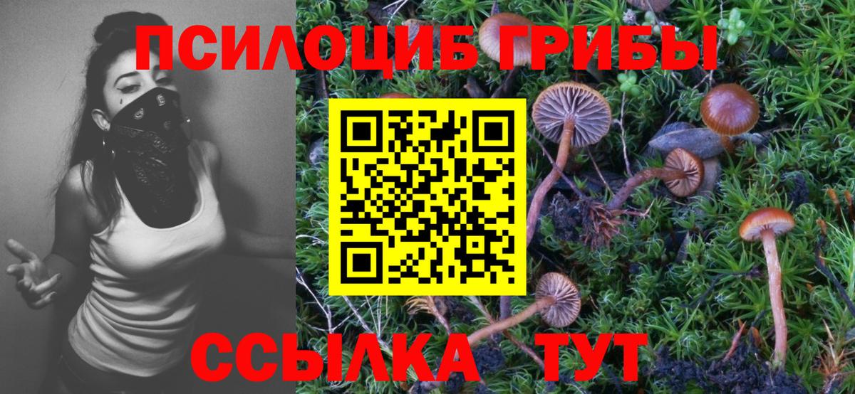 Галлюциногенные грибы мицелий  Псилоцибиновые грибы мицелий  Вход с VPN  Лесозаводск 